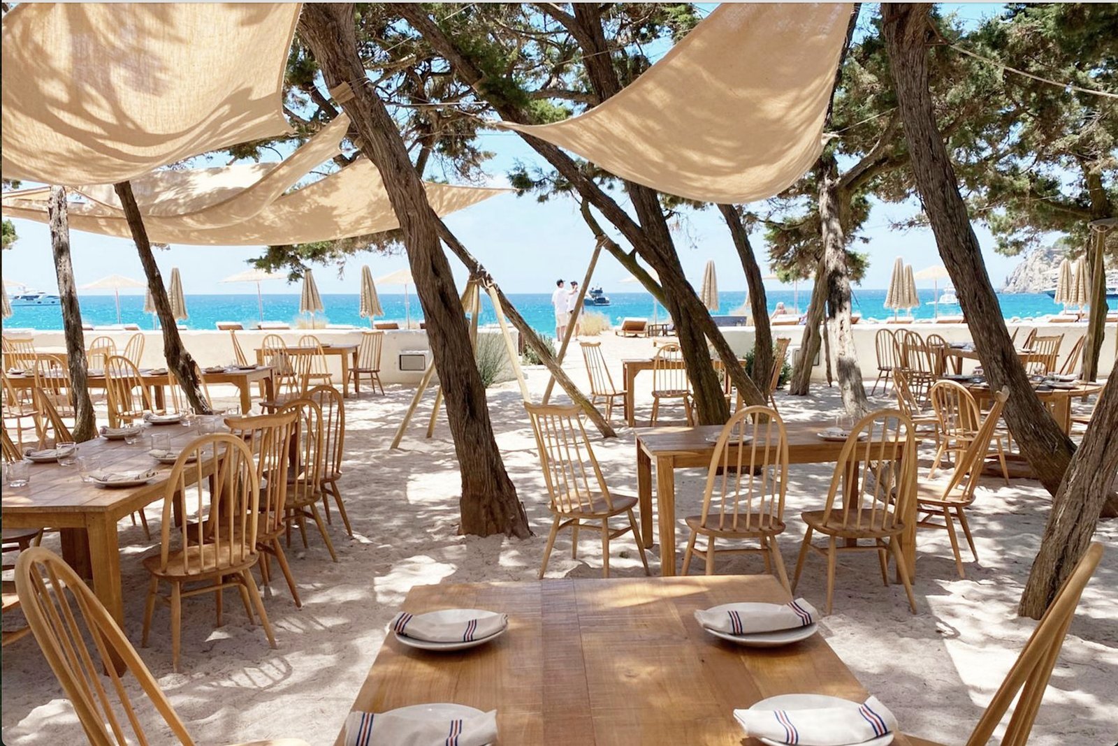 Beachfront restaurant under pine trees in Ibiza — contact The Haven